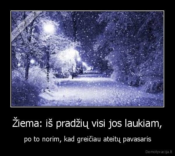 Žiema: iš pradžių visi jos laukiam,