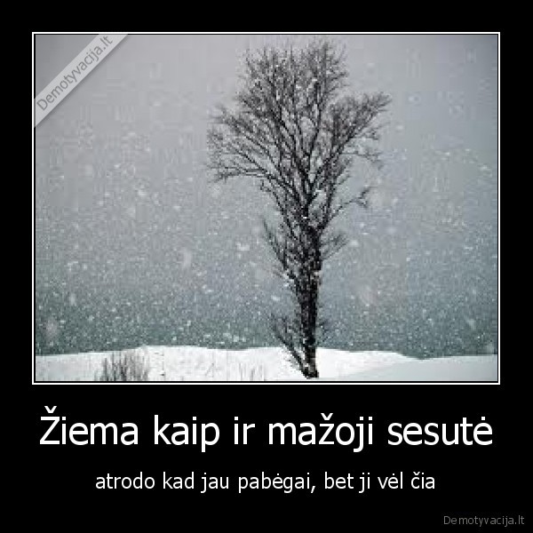 ziema, sugryzo
