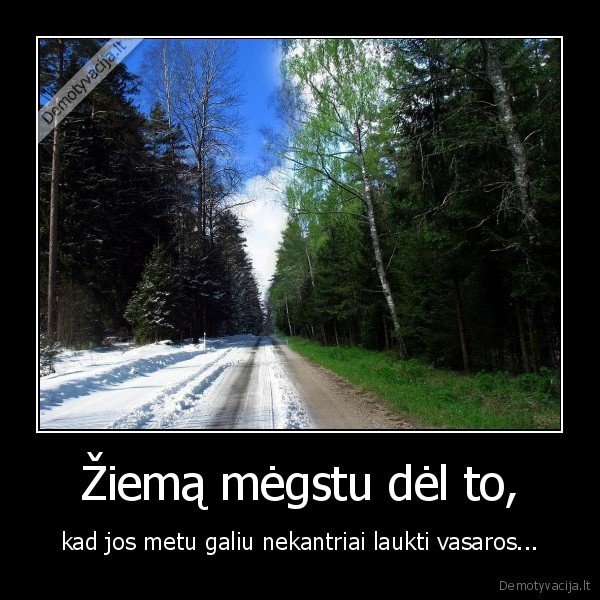 Žiemą mėgstu dėl to,