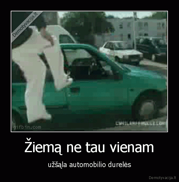 Žiemą ne tau vienam