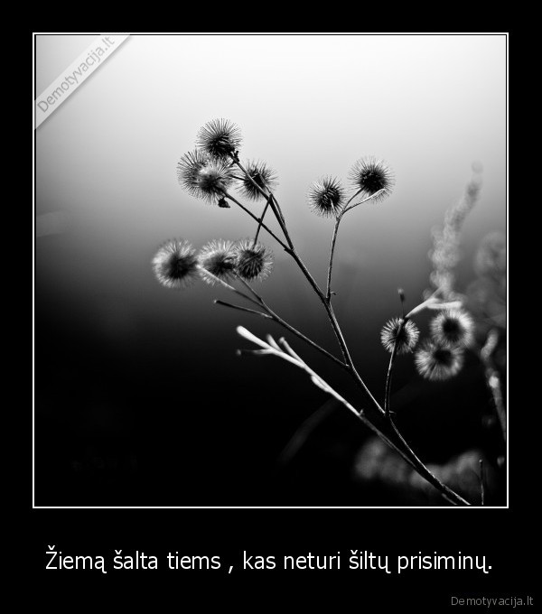 Žiemą šalta tiems , kas neturi šiltų prisiminų.