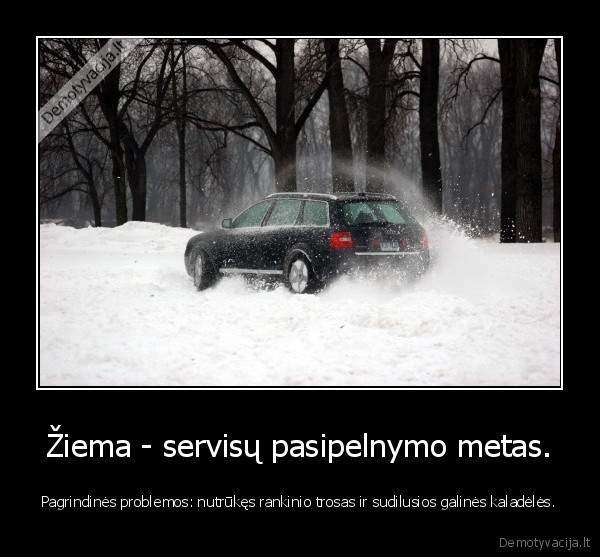 Žiema - servisų pasipelnymo metas.