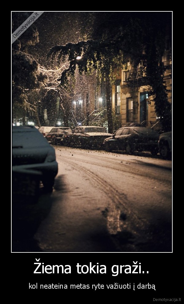 Žiema tokia graži..