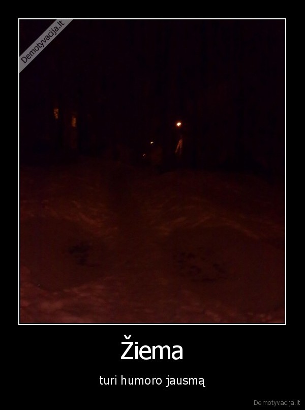 ziema, turi, humoro, jausma, ziema