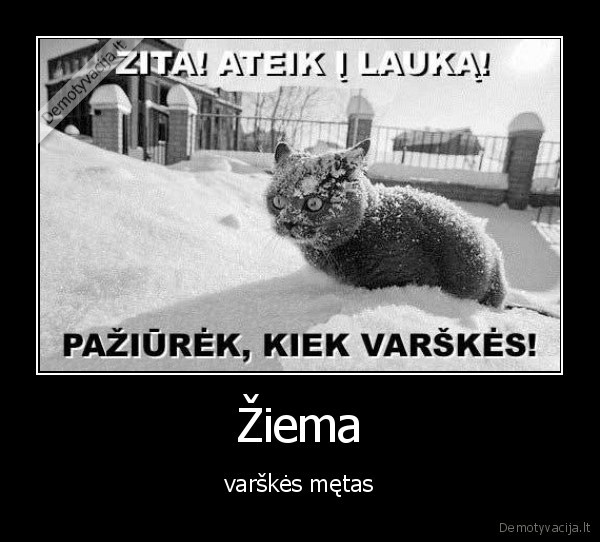 ziema