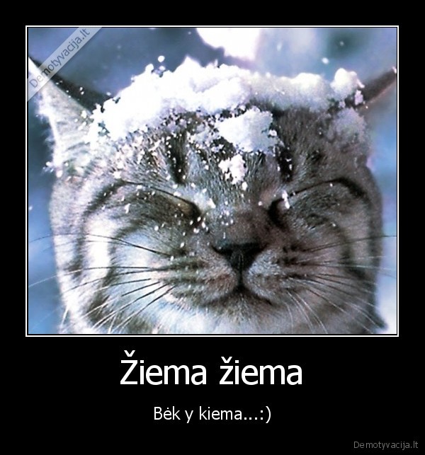 ziema, ziema, karve