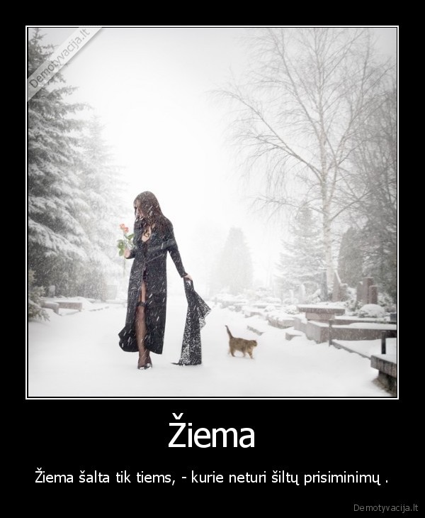 Žiema