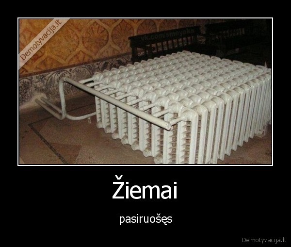 Žiemai
