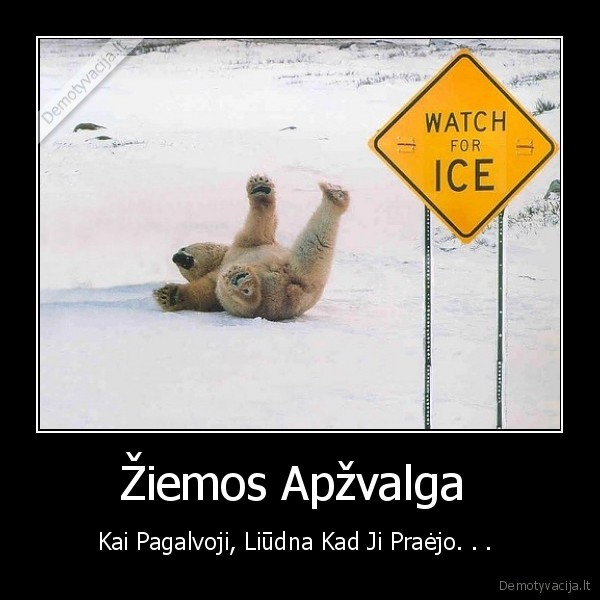 Žiemos Apžvalga 