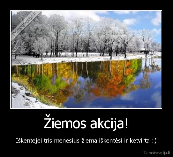 ziema,pavasaris,velu