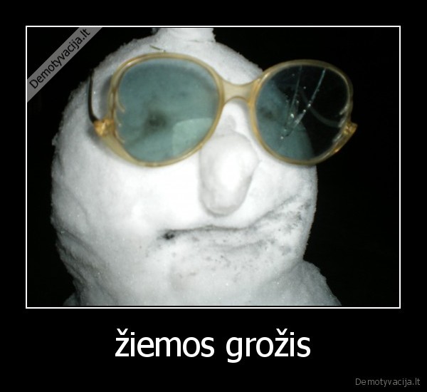 žiemos grožis
