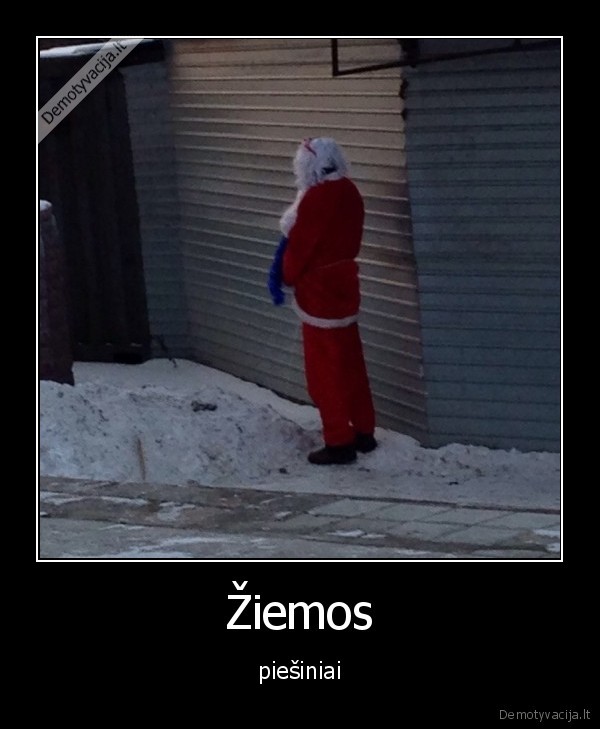 ziema,kaledu, senis,sniegas,piesia