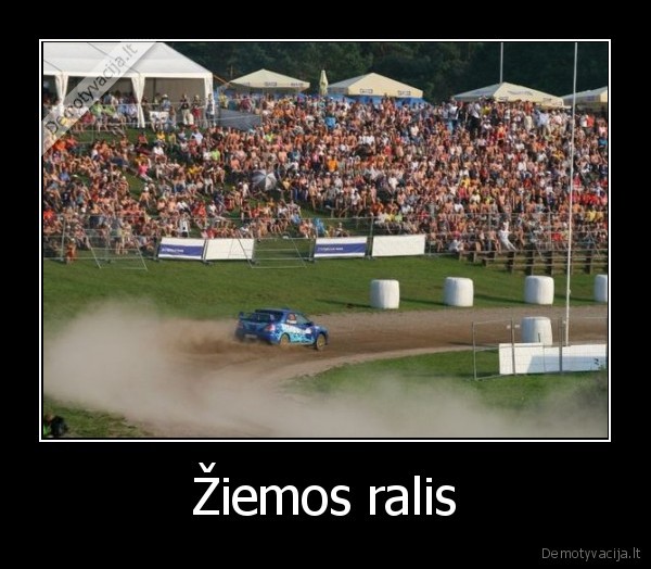 Žiemos ralis