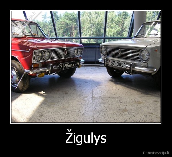 Žigulys
