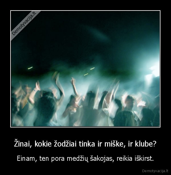 medis,klubas,iskirst