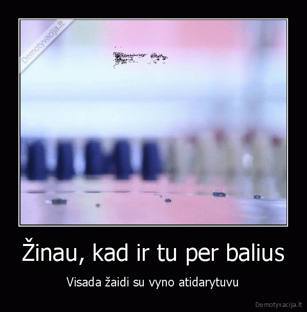 vyno, atidarytuvas,atkimsejas