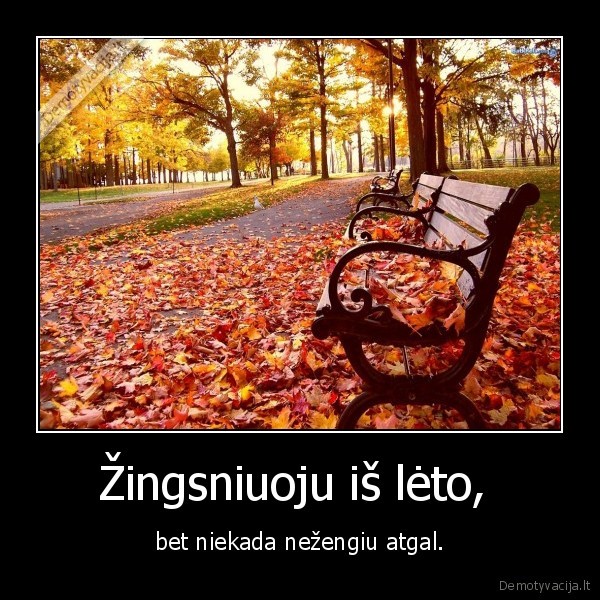 Žingsniuoju iš lėto, 