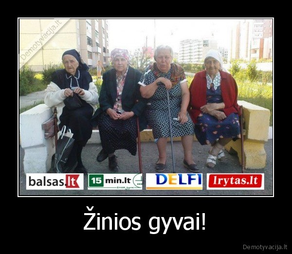 delfi,15min,lrytas,balsas,bobutes,pletkai