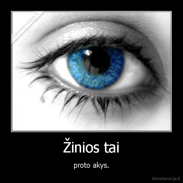 Žinios tai