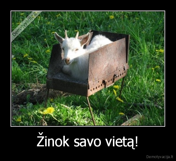 vieta,saslykas,ozys