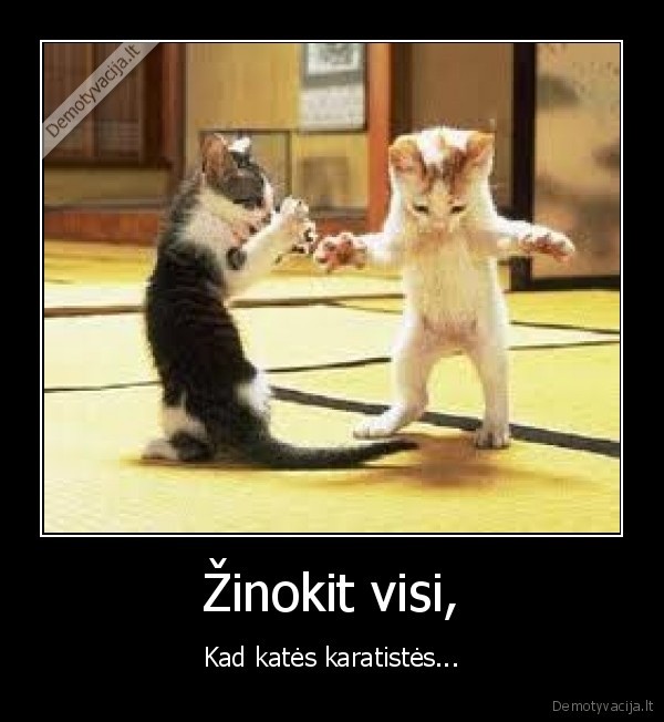 Žinokit visi,