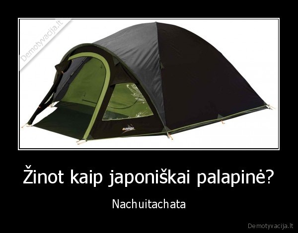 skaito, tik, gaidziai