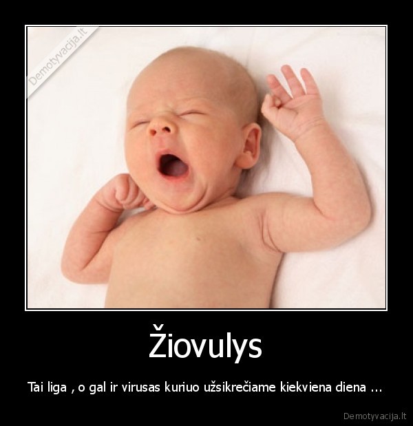 Žiovulys