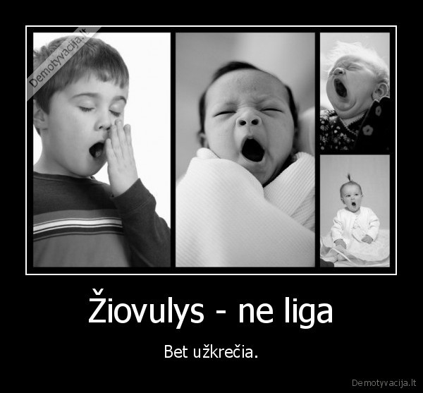 ziovulys
