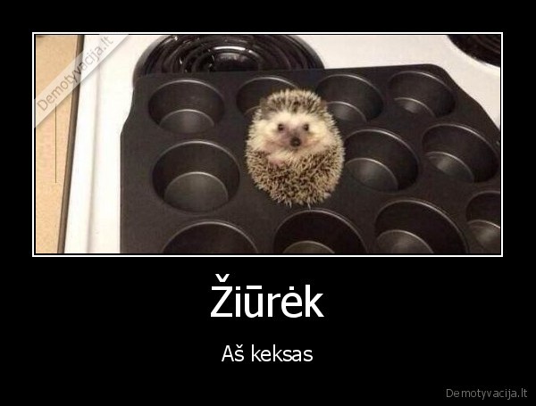 Žiūrėk