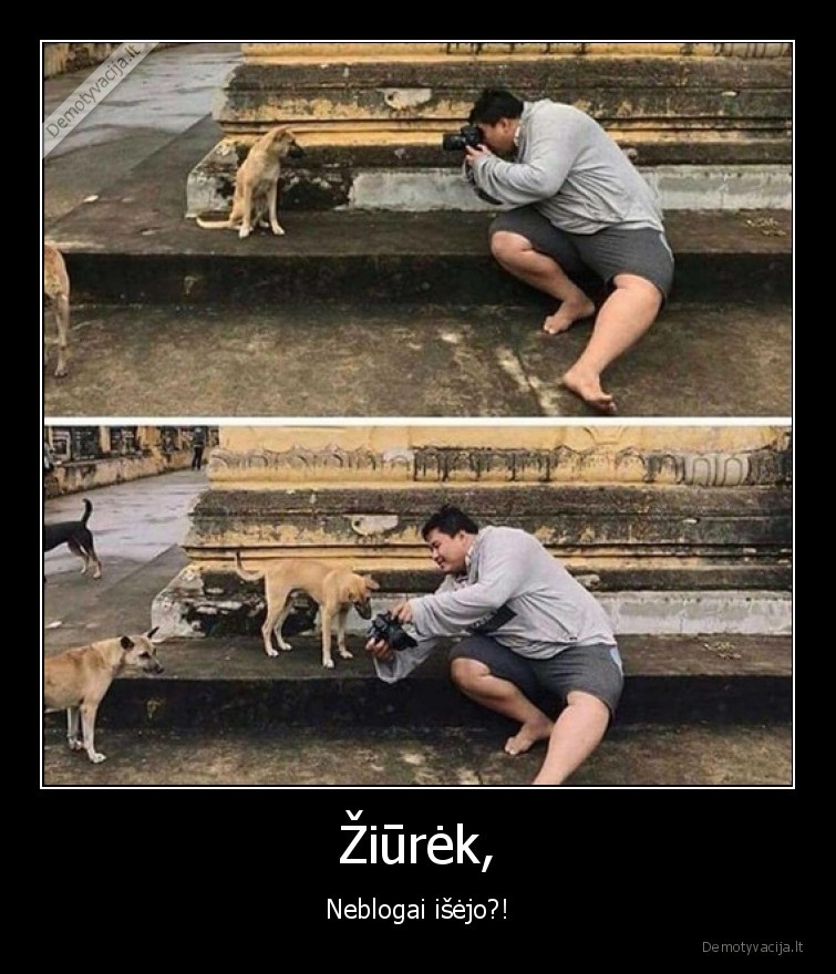 suo,fotografas
