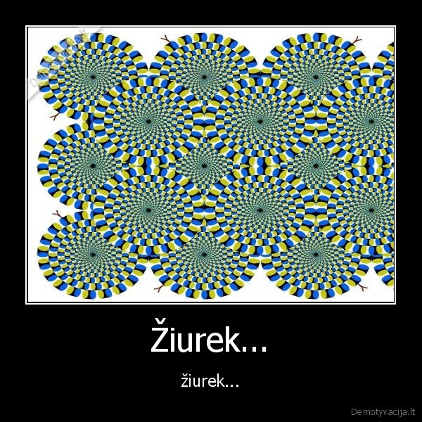 Žiurek...