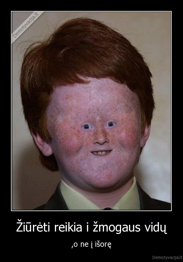 pybodis