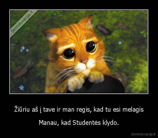 Žiūriu aš į tave ir man regis, kad tu esi melagis