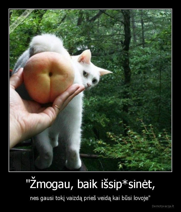kate,katinas,zmogus,sikna