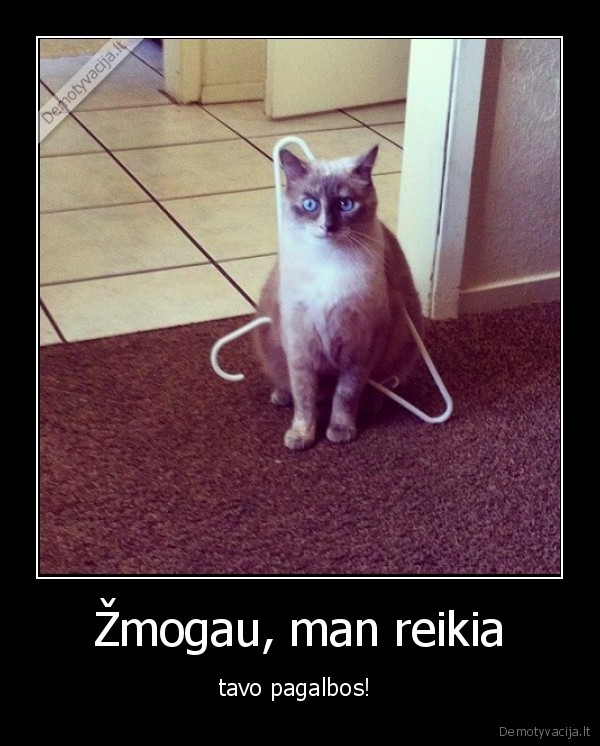 Žmogau, man reikia