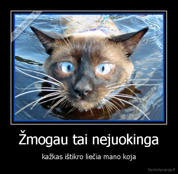 Žmogau tai nejuokinga
