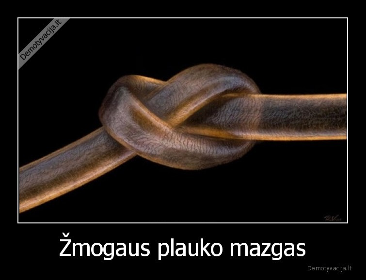 plaukas,mazgas,makro