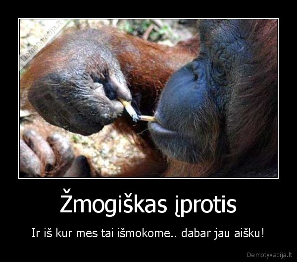 Žmogiškas įprotis
