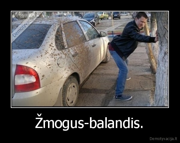 balandis,kaka,sika