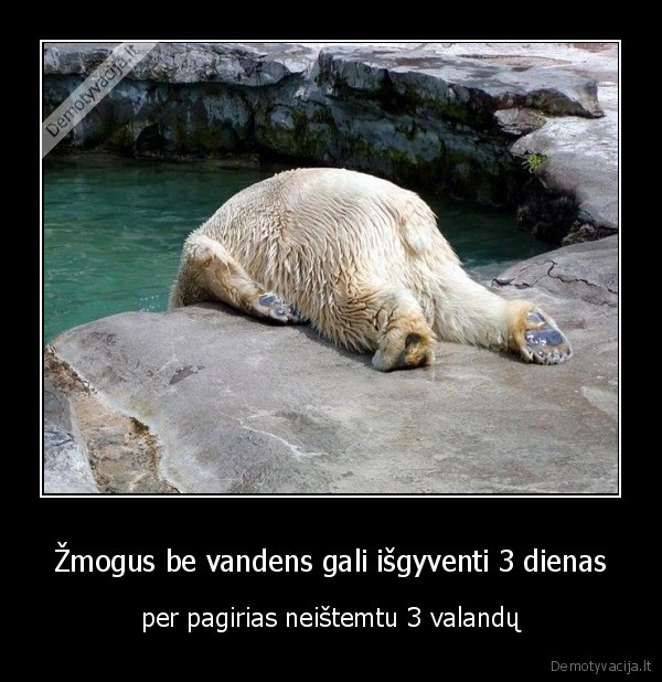 svente