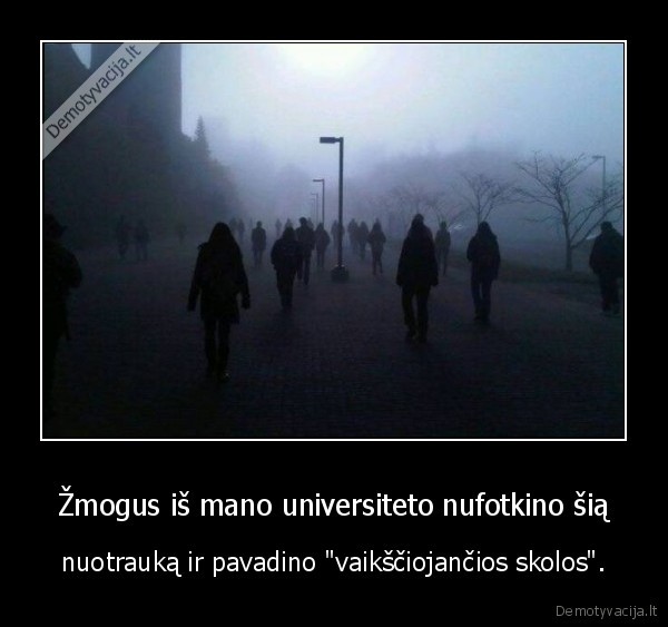universitetas,mokslai,skola