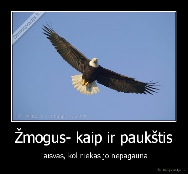 laisve