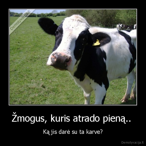 smaukacius,karve