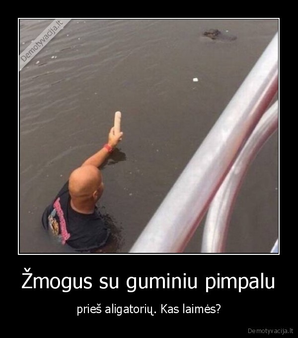 aligatorius,guminis, pimpalas,dildo