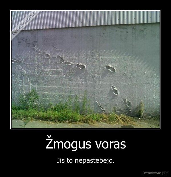 Žmogus voras