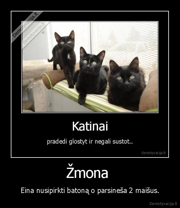 Žmona 