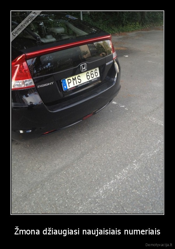 pms,zmona,masina