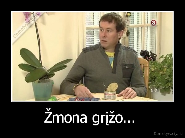 lysk, i, spinta