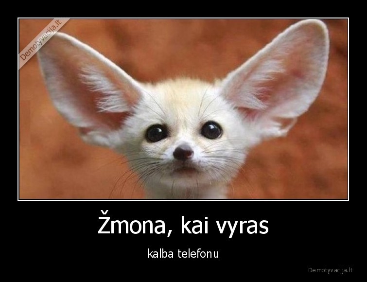 zmona,ausys,klauso,telefonas