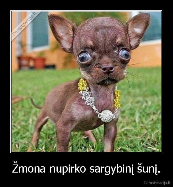 suo,juokinga